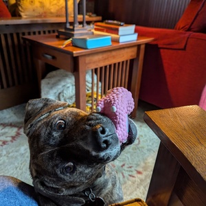 Fundraising Page: Regina Gliot